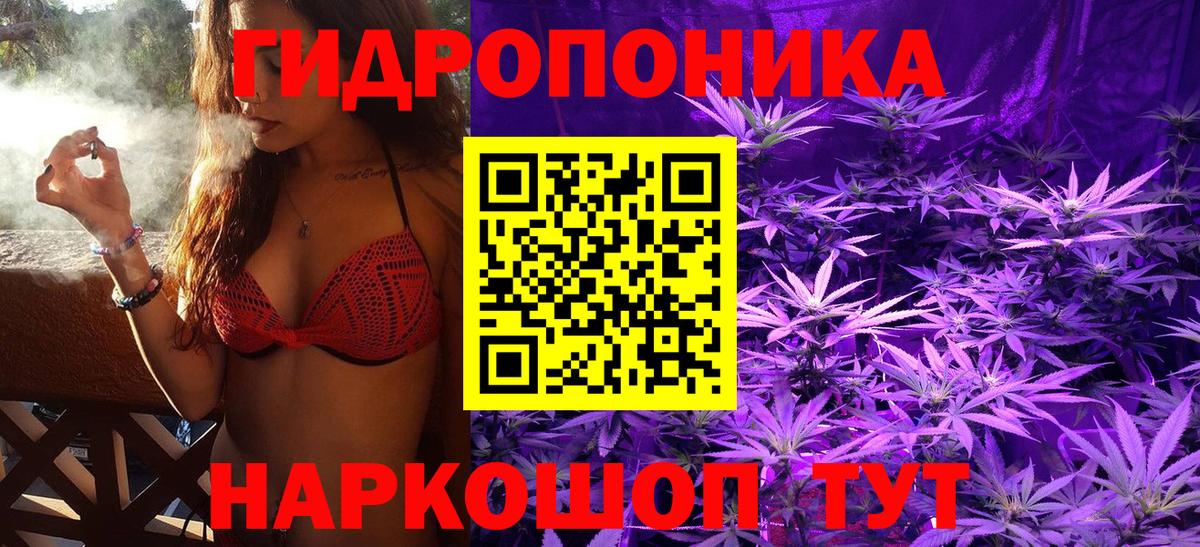 Шишки марихуана MAZAR Сунжа